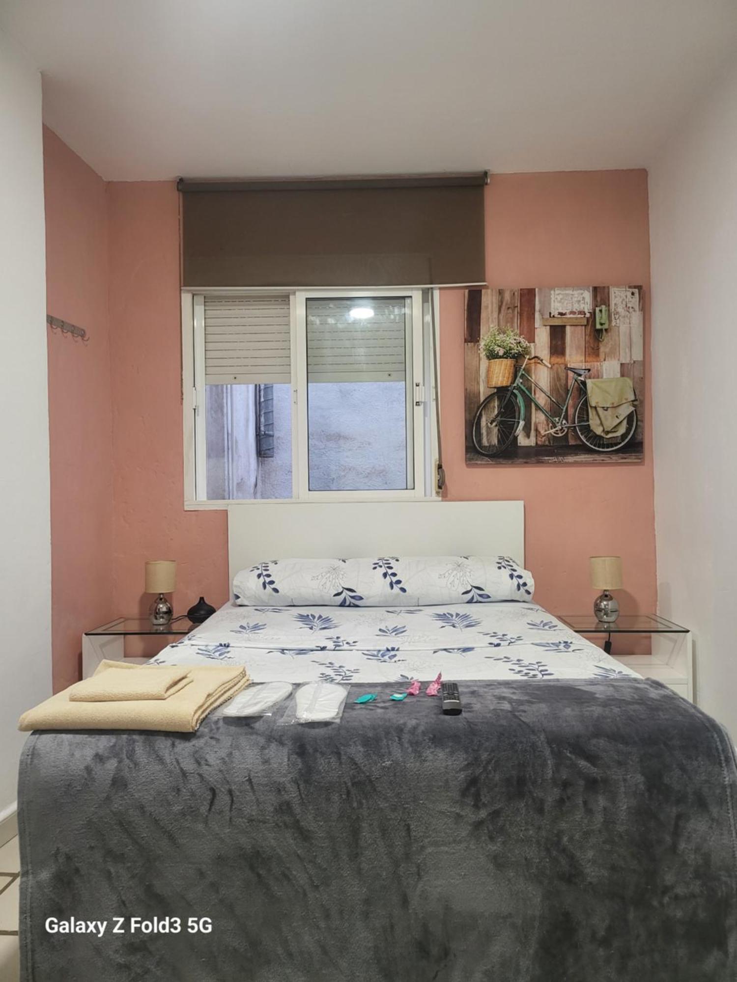 Habitacion Muy Centrica. グラナダ エクステリア 写真