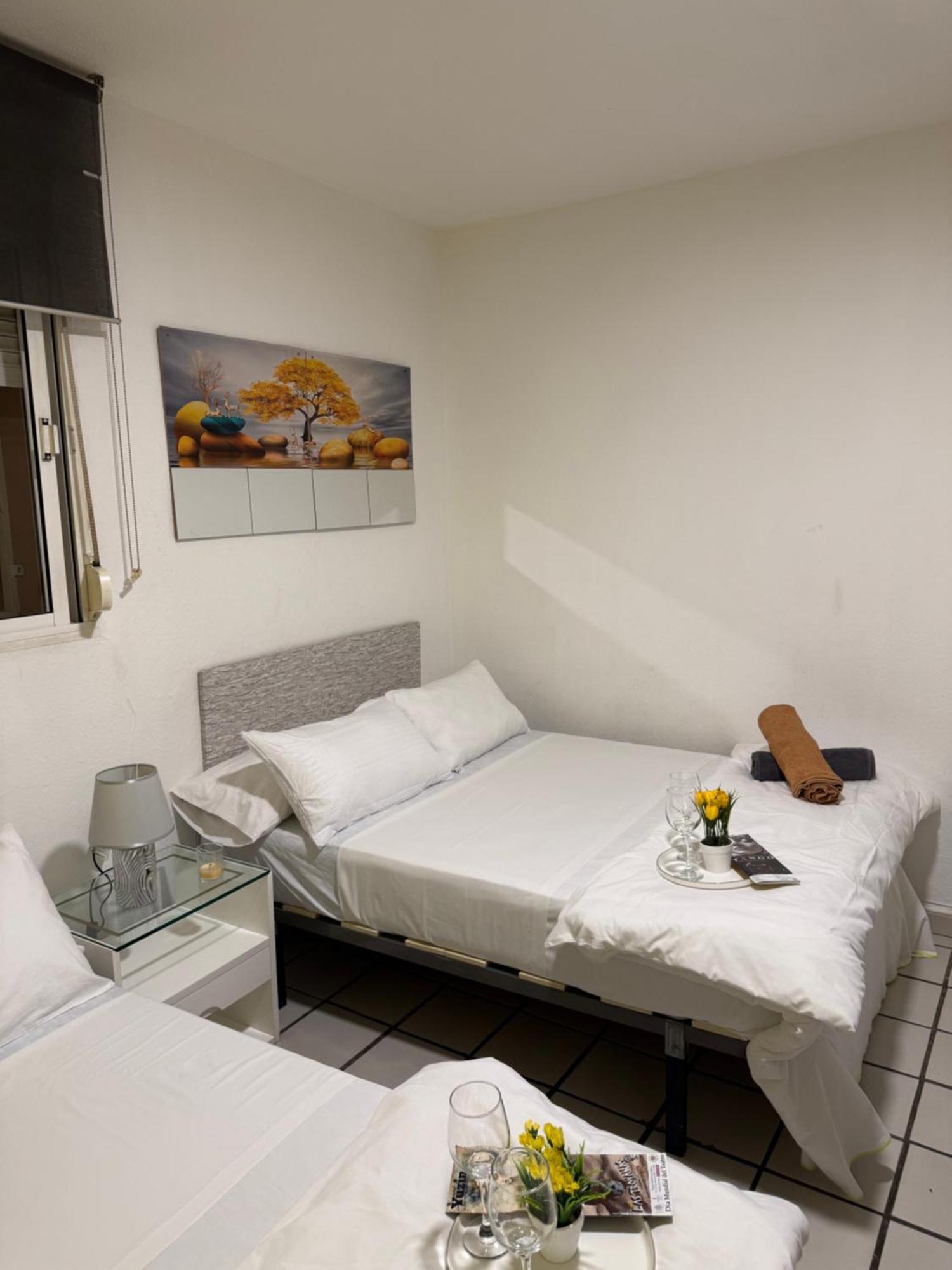 Habitacion Muy Centrica. グラナダ エクステリア 写真