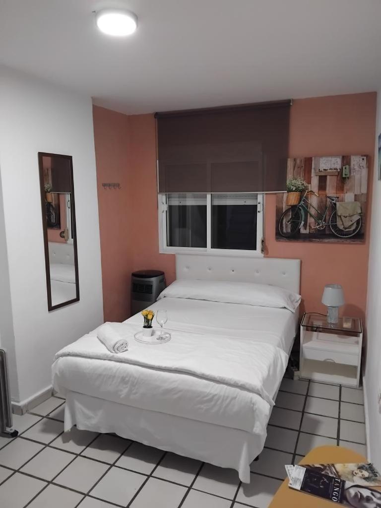 Habitacion Muy Centrica. グラナダ エクステリア 写真