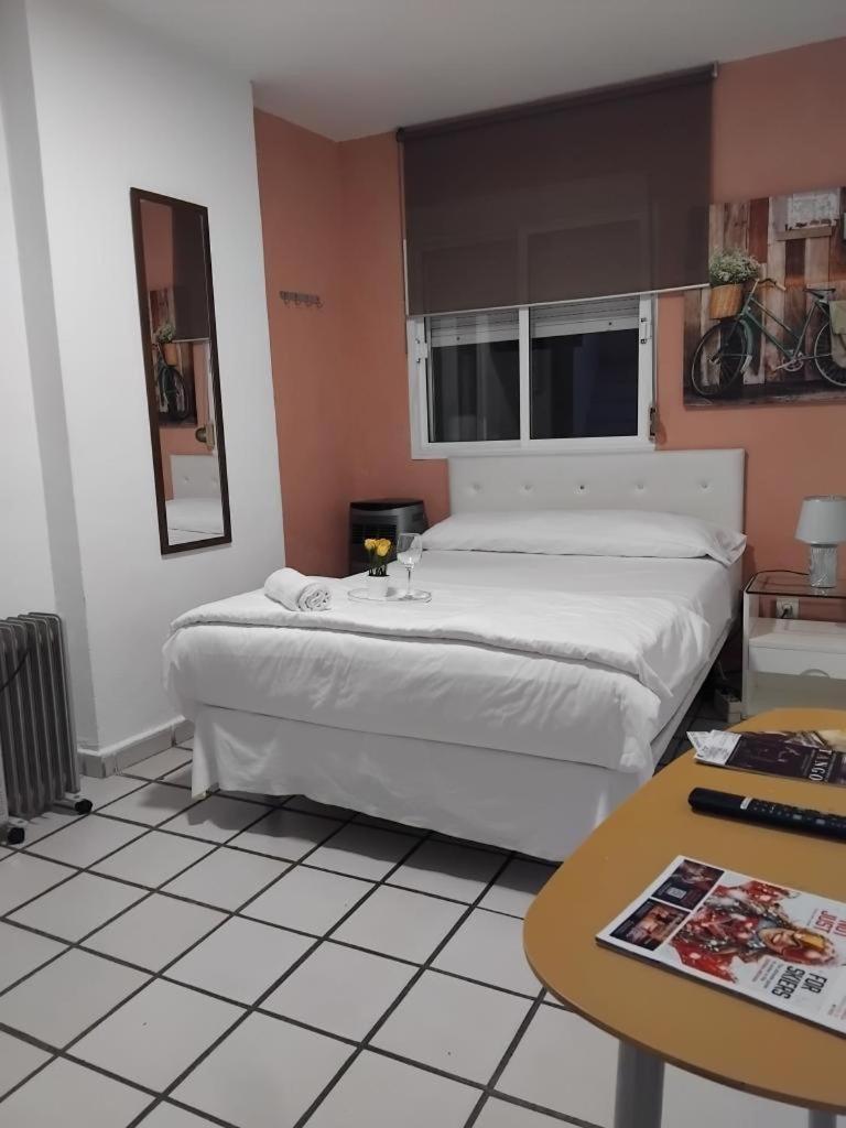 Habitacion Muy Centrica. グラナダ エクステリア 写真