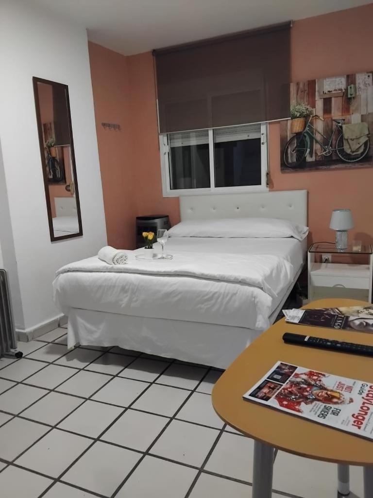 Habitacion Muy Centrica. グラナダ エクステリア 写真
